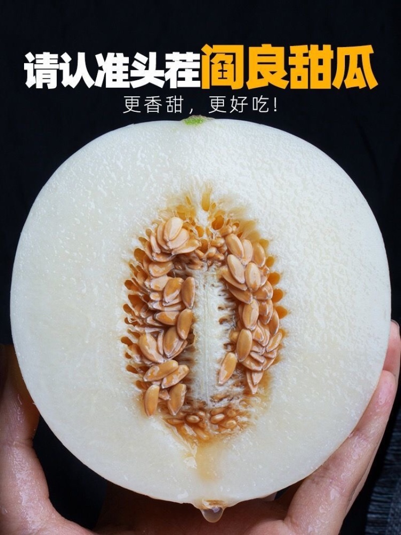 陕西阎良甜瓜，白皮甜瓜，头茬甜瓜，现采现发