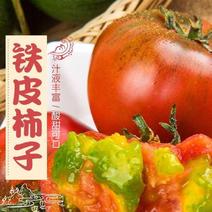 辽宁草莓西红柿铁皮草莓柿子原产地发货量大从优