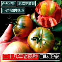 [荐]铁皮西红柿精品铁皮柿子西红柿原产地发品质保证