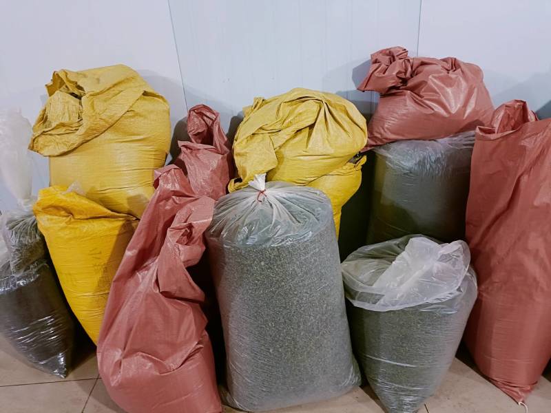 广西大瑶山刺甜茶
