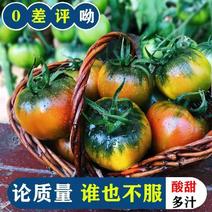 [推荐]精品水果番茄东北西红柿铁皮西红柿各种规格