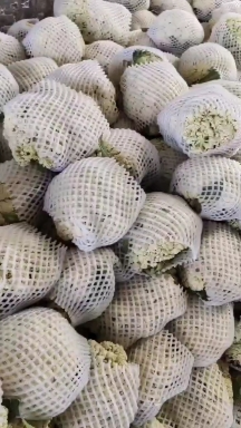陕西有机花大量上市精品货源产地直供欢迎来电
