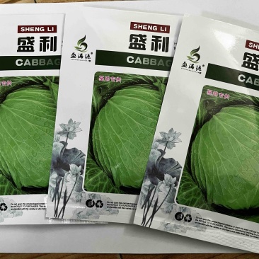 基地专用秋.冬.春脆莲白甘蓝绿色扁平耐运输抗病