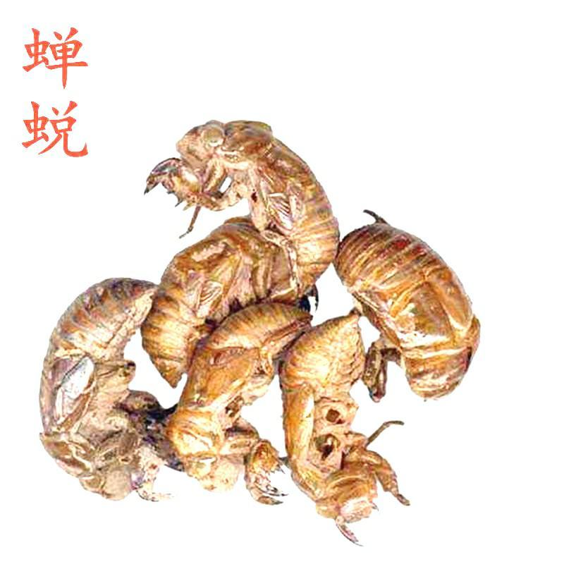中药材蝉蜕蝉衣知了壳自然脱落保质保量包邮