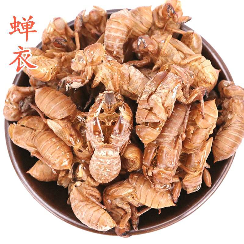中药材蝉蜕蝉衣知了壳自然脱落保质保量包邮