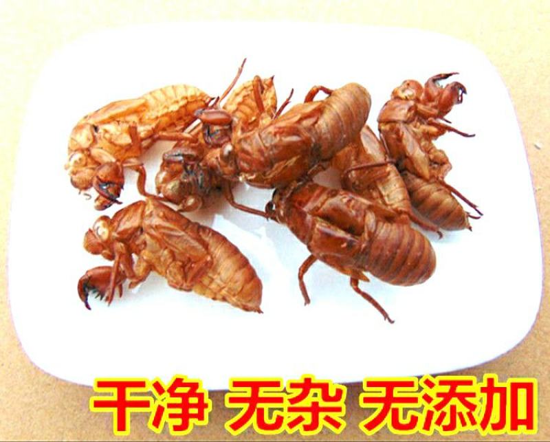 中药材蝉蜕蝉衣知了壳自然脱落保质保量包邮