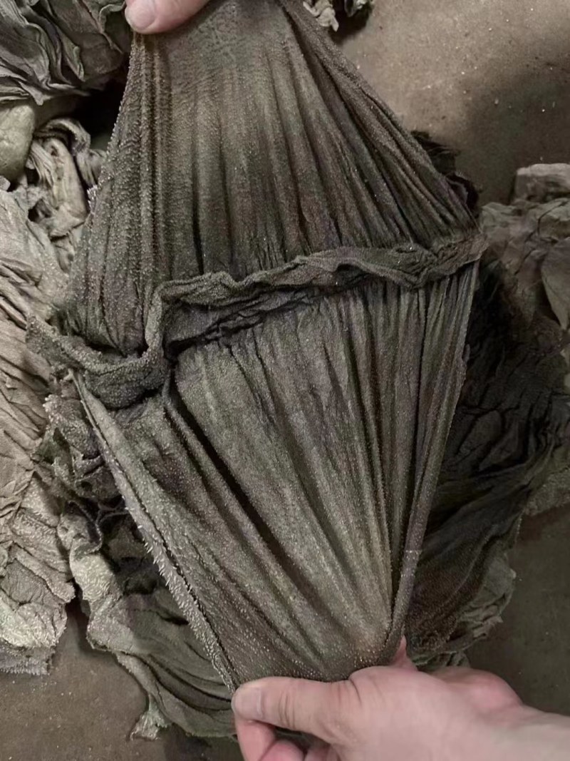 牛毛肚。