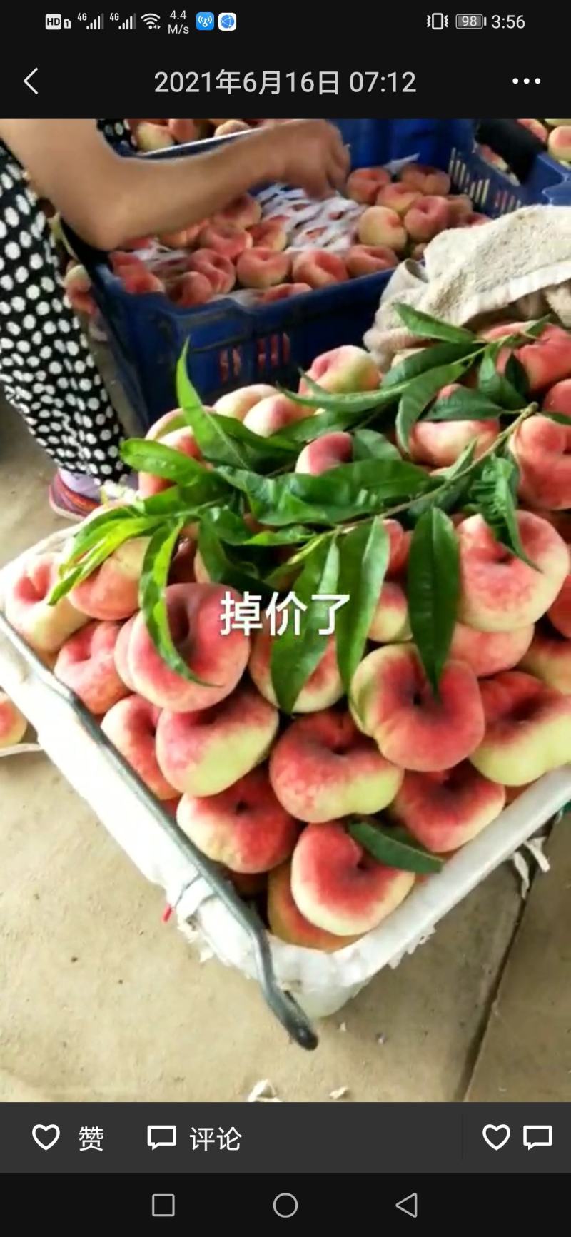保定满城蟠桃，大棚红蟠桃，货架期长，适用于各大商超。电商