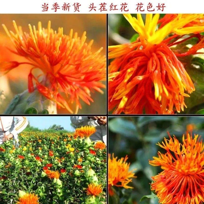 红花中药材红花新疆红花无硫