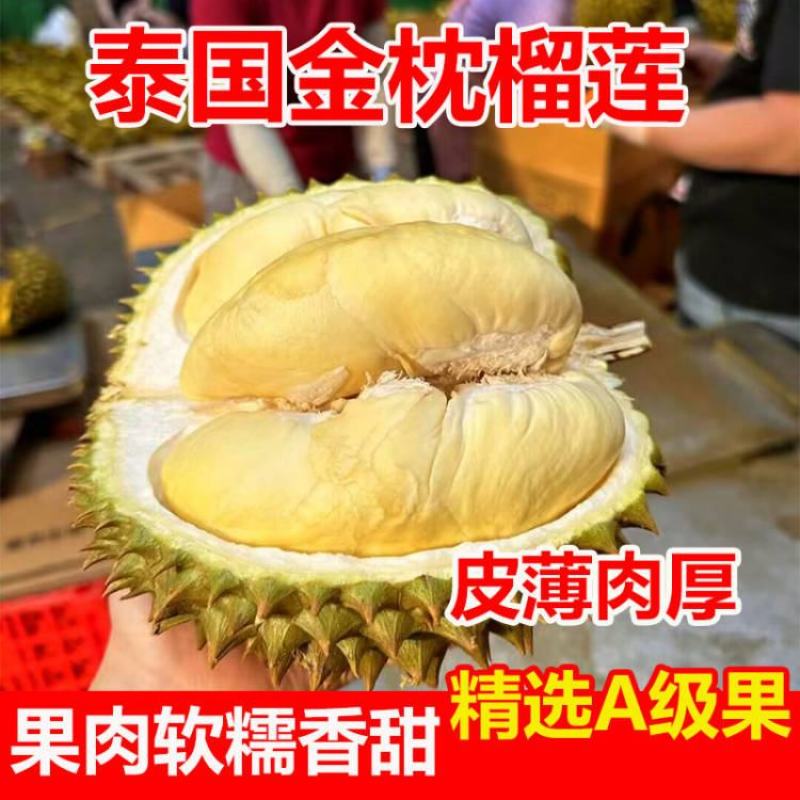 泰国金枕头榴莲鲜果一整个巴掌榴莲a果整箱带壳批发非猫山王