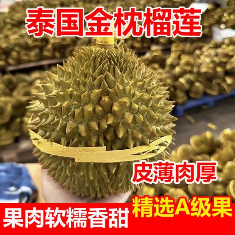 泰国金枕头榴莲鲜果一整个巴掌榴莲a果整箱带壳批发非猫山王