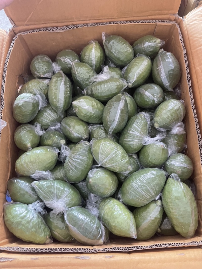 广东香水柠檬一级果