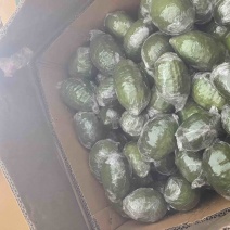 广东香水柠檬一级果
