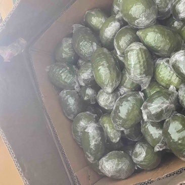 广东香水柠檬一级果