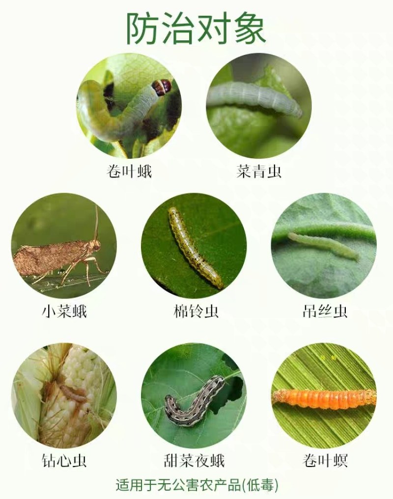 虫卵兼杀虫剂12%甲维虫螨腈睛甲维盐虫螨睛草地贪夜蛾扬剑