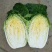大白菜