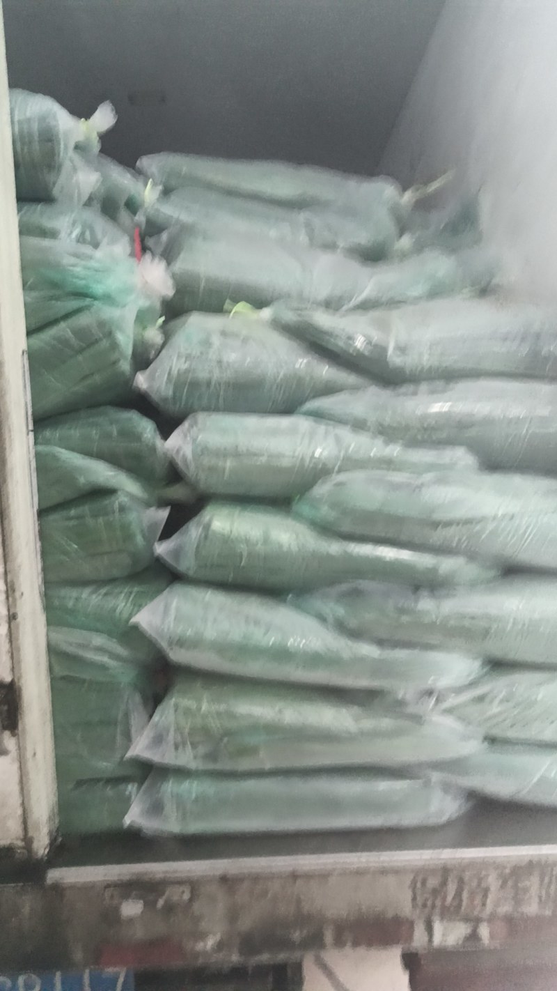 最后亏处理一天洞庭湖天然芦苇叶野生芦苇叶特殊香气