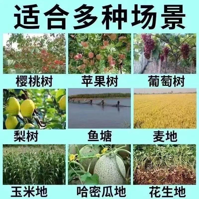 农用大棚种植果园防鸟网鱼塘养殖樱桃枇杷果水果园防虫防鸟用