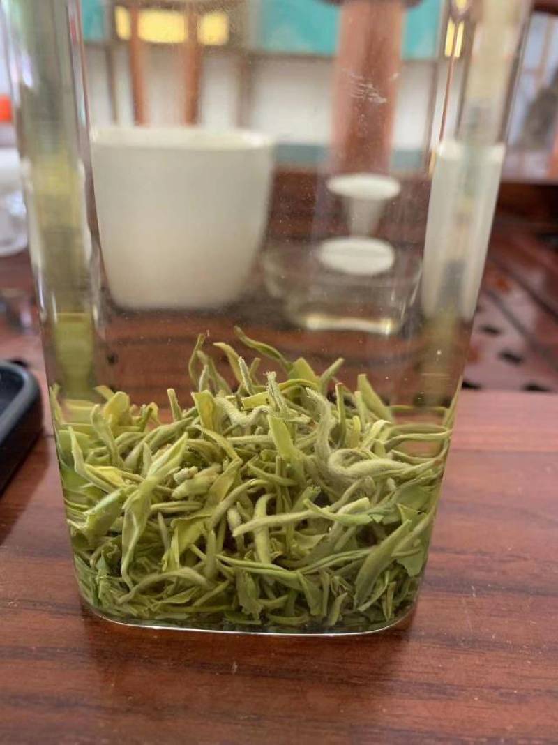 各种蒙山茶