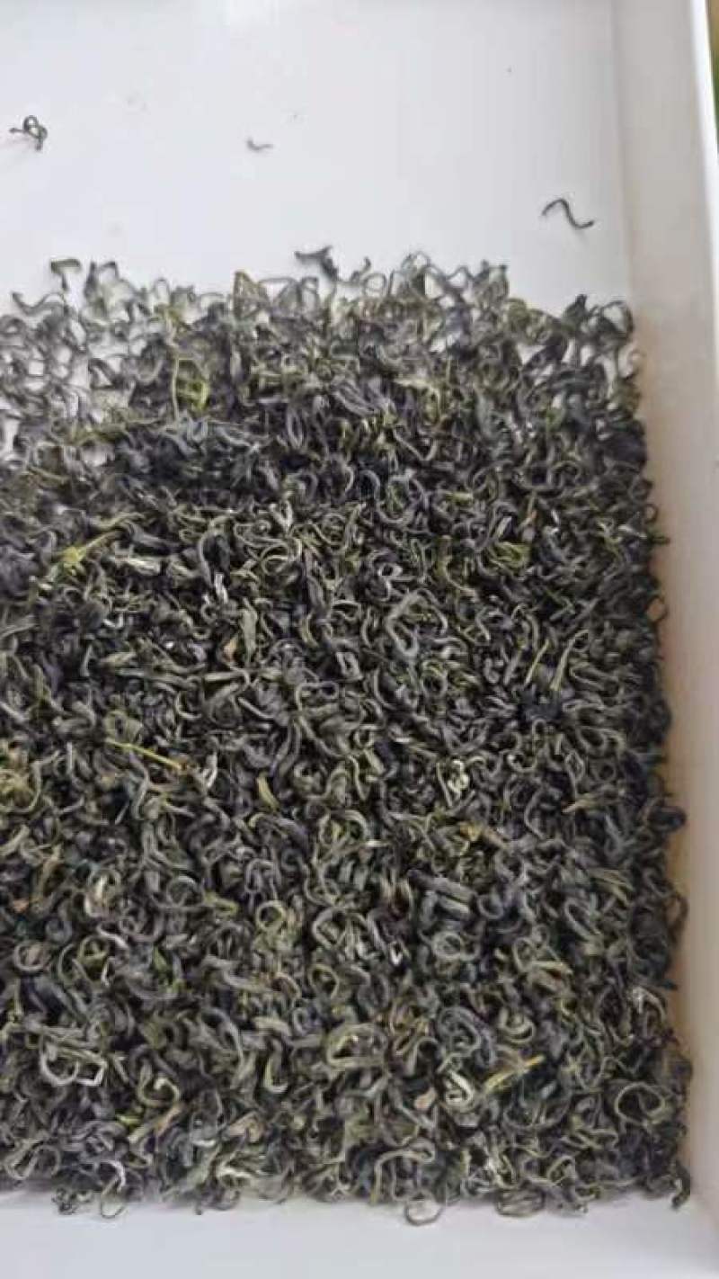 各种蒙山茶