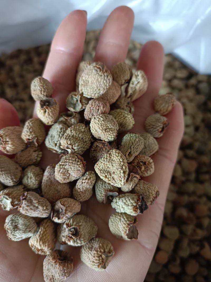 覆盆子，产地浙江，新货无杂质，货源充足，量大从优