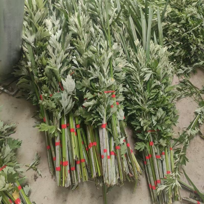 端午节新鲜艾草端午艾，菖蒲，桃枝