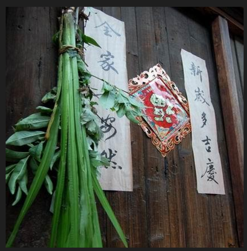 端午节新鲜艾草端午艾，菖蒲，桃枝