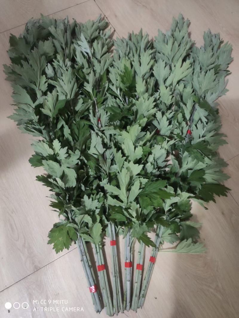 端午节定制新鲜艾草菖蒲节艾草，端午艾