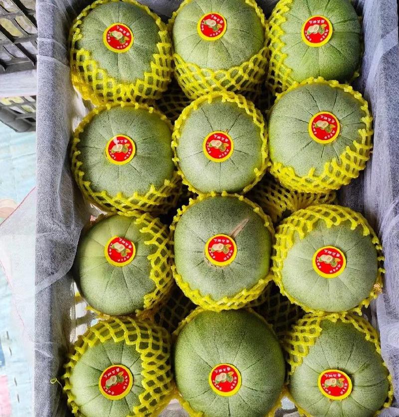 绿宝甜瓜大量现货产地发货口感好品质保证