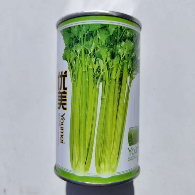 芹菜种子西芹种子