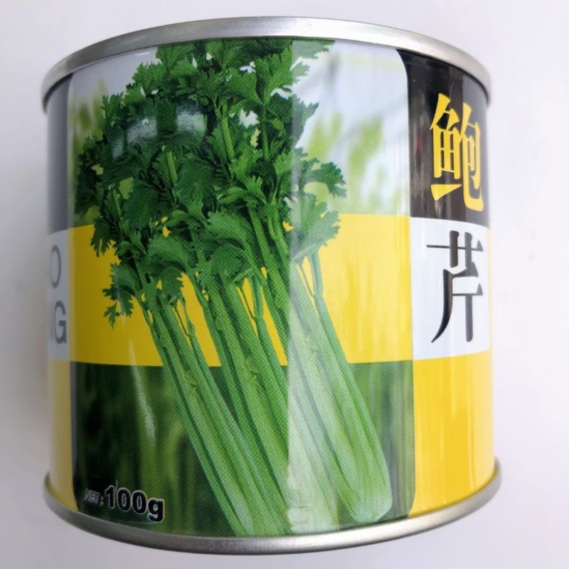 芹菜种子西芹种子