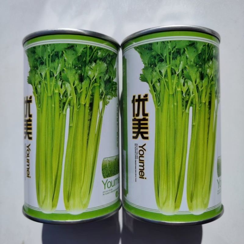 芹菜种子西芹种子