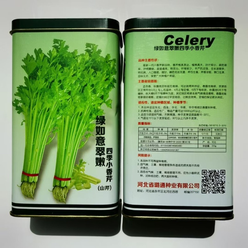 芹菜种子西芹种子