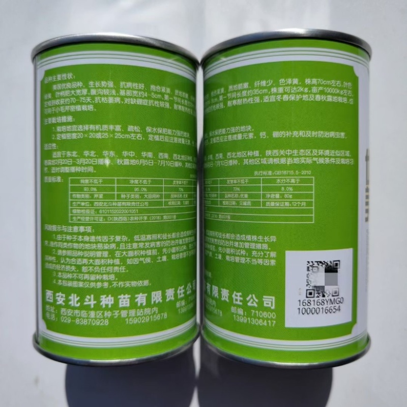 芹菜种子西芹种子