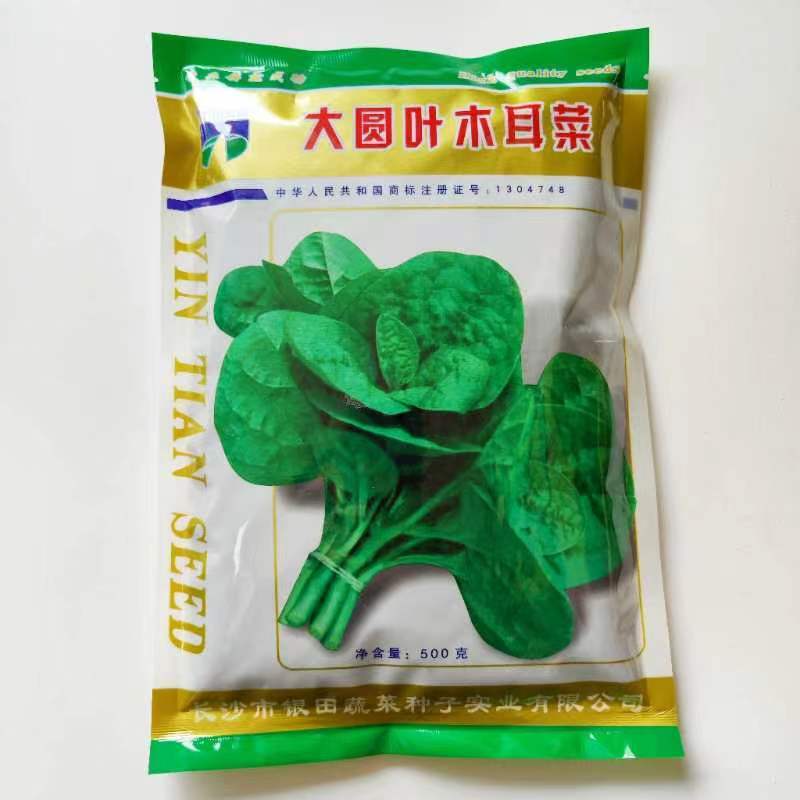 大圆叶木耳菜种子叶片肥厚耐热耐湿大叶木耳菜种籽春夏季蔬菜