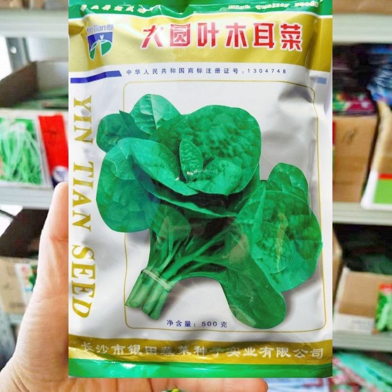 大圆叶木耳菜种子叶片肥厚耐热耐湿大叶木耳菜种籽春夏季蔬菜
