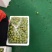 早李，三月李，大机分选，泡沫箱抽真空包装，按净重计价