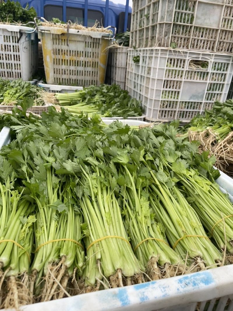 需要的朋友可以联系我