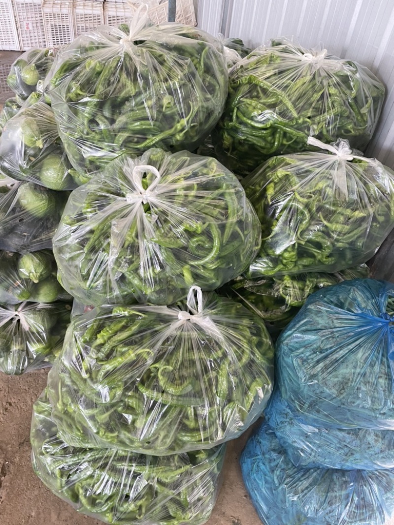 需要的朋友可以联系我