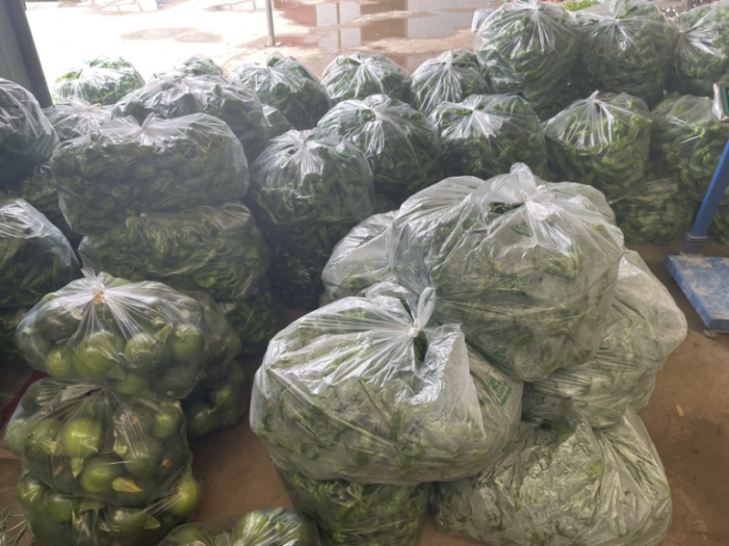 需要的朋友可以联系我