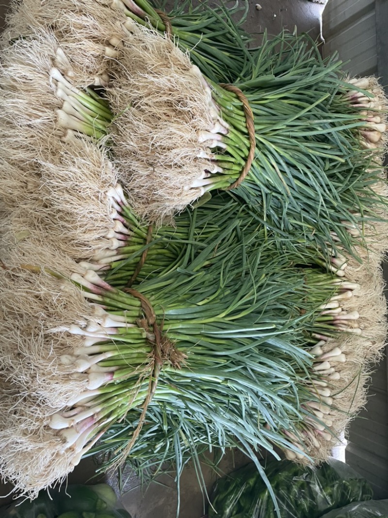 需要的朋友可以联系我