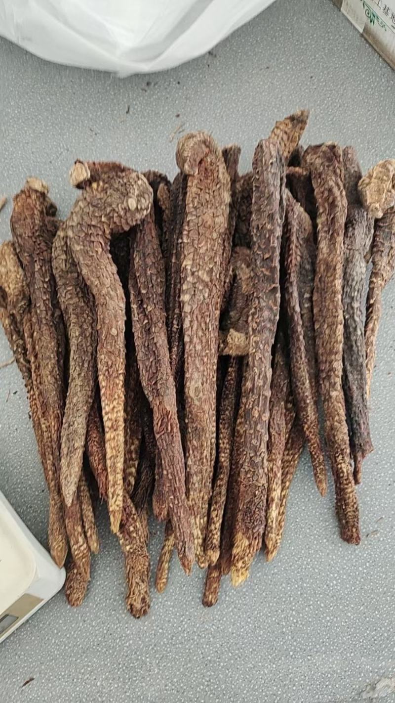 荒漠肉苁蓉，产地内蒙古，自然风干晾晒，全国包邮