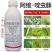 青岛奥迪斯力乐泰4%阿维啶虫脒蚜虫杀虫剂