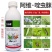 青岛奥迪斯力乐泰4%阿维啶虫脒蚜虫杀虫剂