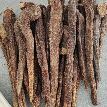 荒漠肉苁蓉，产地内蒙古，自然风干晾晒，全国包邮