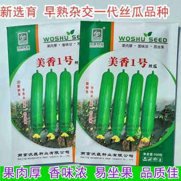 丝瓜种子美香1号短棒油皮绿产量高座果基地大户专用蔬菜种子