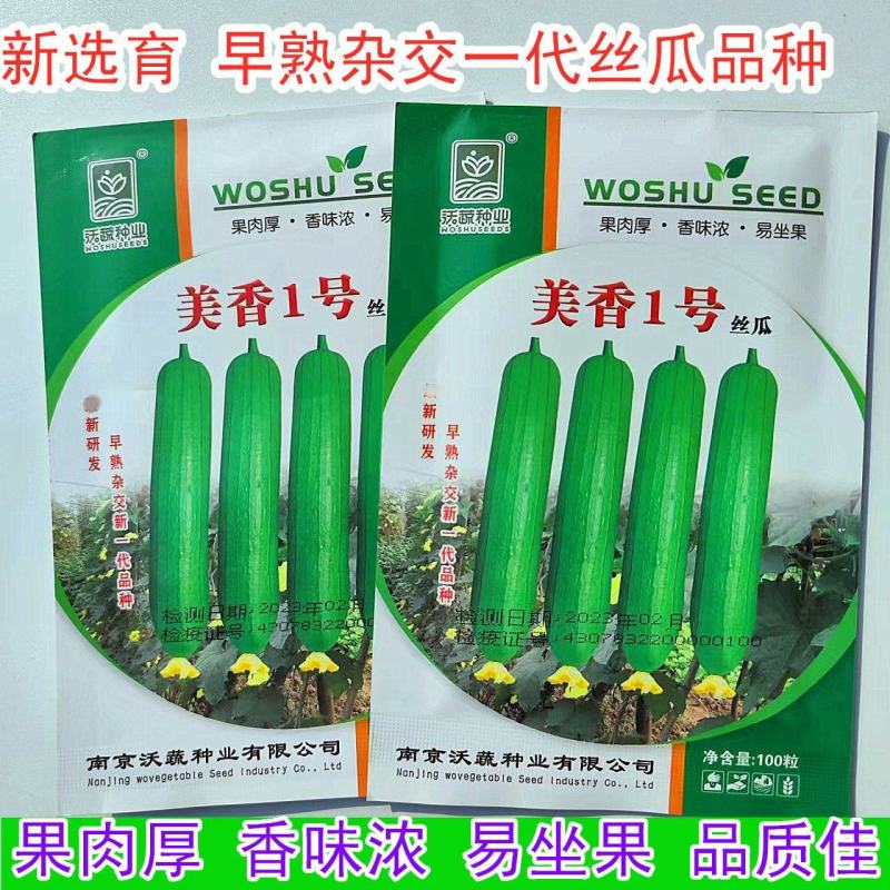 丝瓜种子美香1号短棒油皮绿产量高座果基地大户专用蔬菜种子