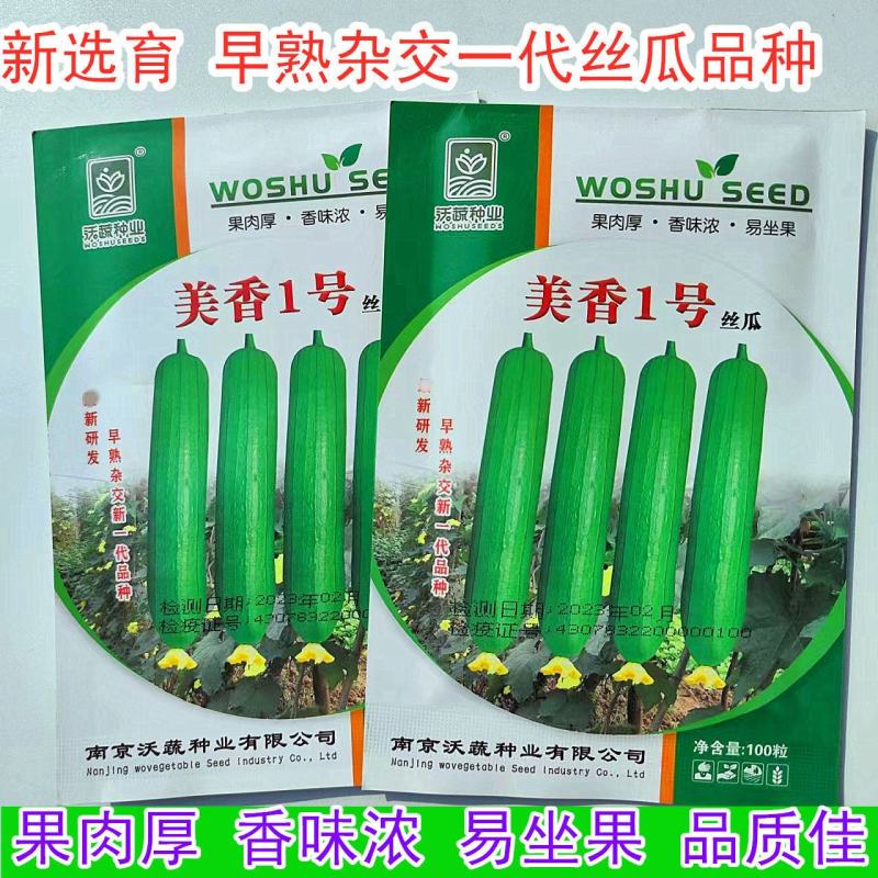 丝瓜种子美香1号短棒油皮绿产量高座果基地大户专用蔬菜种子