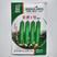 丝瓜种子美香1号短棒油皮绿产量高座果基地大户专用蔬菜种子