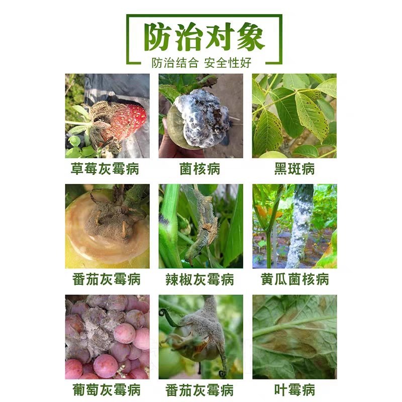 腐霉利福美双杀菌剂花卉草莓黄瓜葡萄番茄灰霉菌核病专用